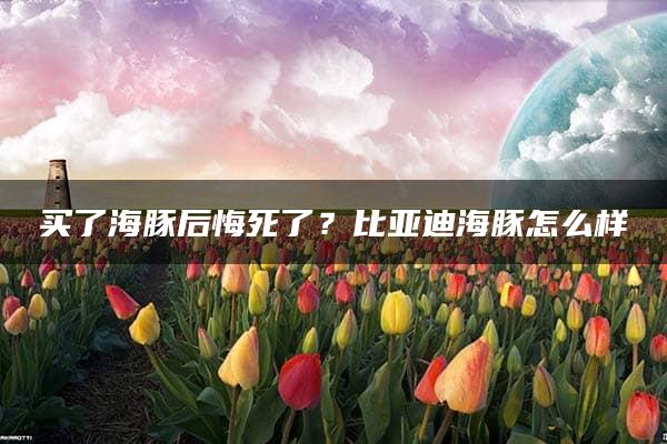 买了海豚后悔死了？比亚迪海豚怎么样