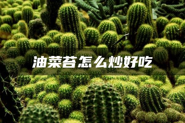 油菜苔怎么炒好吃