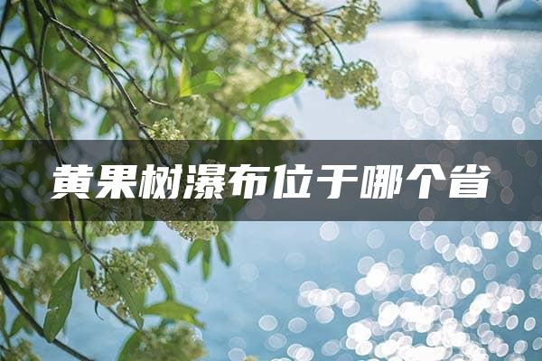 黄果树瀑布位于哪个省