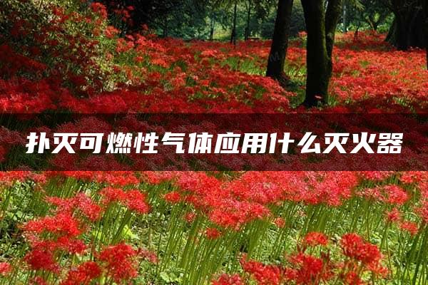 扑灭可燃性气体应用什么灭火器