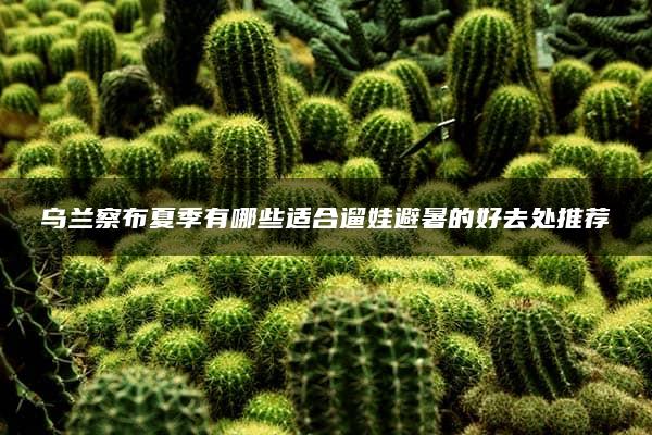 乌兰察布夏季有哪些适合遛娃避暑的好去处推荐