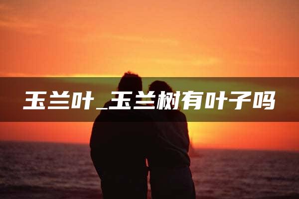 玉兰叶_玉兰树有叶子吗