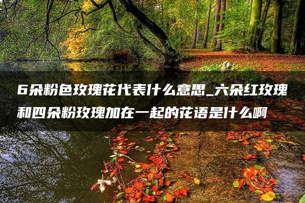 6朵粉色玫瑰花代表什么意思_六朵红玫瑰和四朵粉玫瑰加在一起的花语是什么啊