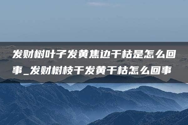 发财树叶子发黄焦边干枯是怎么回事_发财树枝干发黄干枯怎么回事