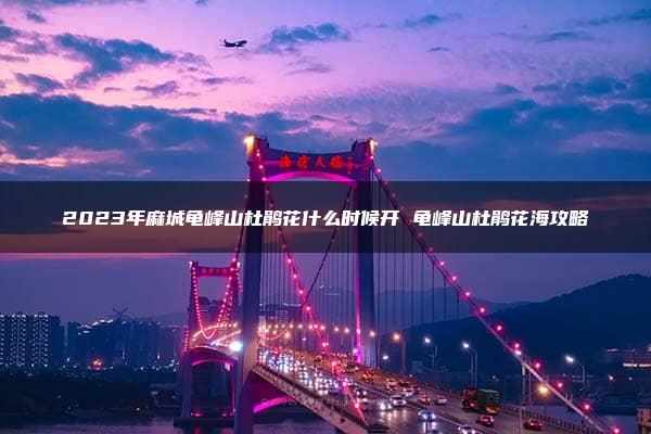 2023年麻城龟峰山杜鹃花什么时候开 龟峰山杜鹃花海攻略