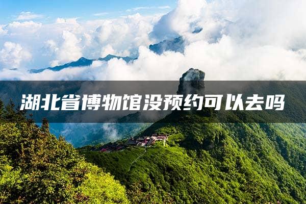 湖北省博物馆没预约可以去吗