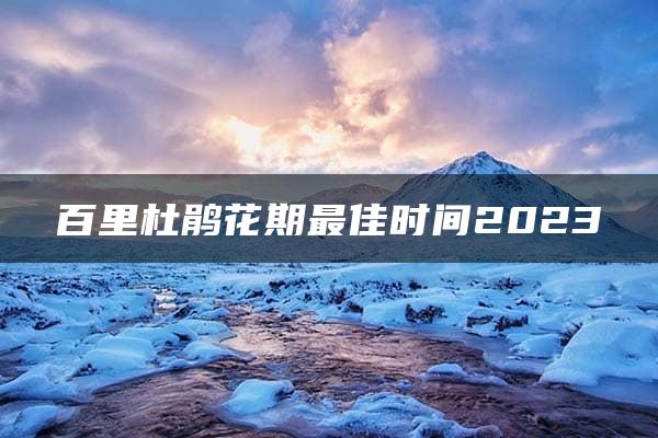 百里杜鹃花期最佳时间2023