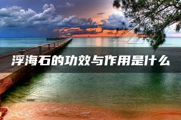 浮海石的功效与作用是什么