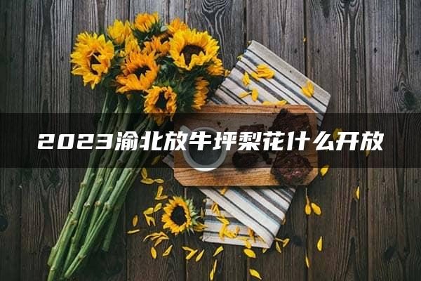 2023渝北放牛坪梨花什么开放