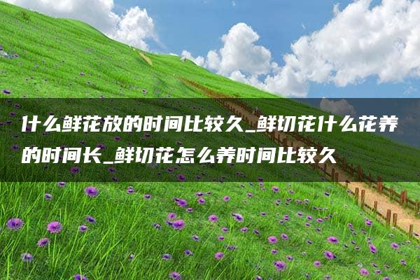 什么鲜花放的时间比较久_鲜切花什么花养的时间长_鲜切花怎么养时间比较久