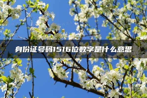 身份证号码1516位数字是什么意思