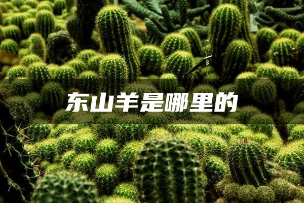 东山羊是哪里的