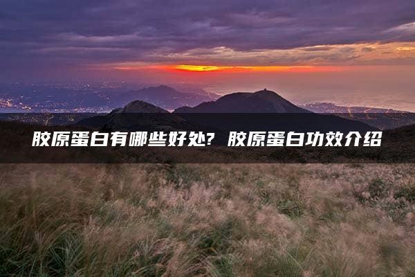 胶原蛋白有哪些好处? 胶原蛋白功效介绍