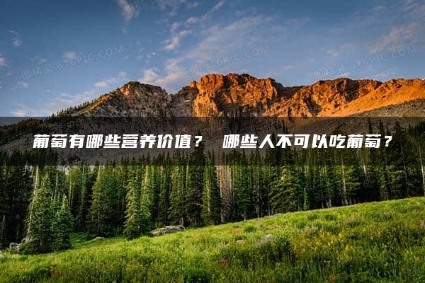 葡萄有哪些营养价值？ 哪些人不可以吃葡萄？