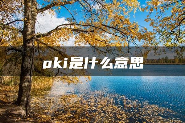 pki是什么意思