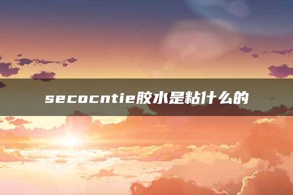 secocntie胶水是粘什么的