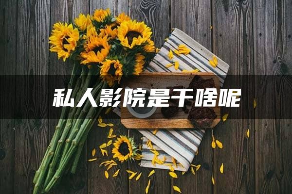 私人影院是干啥呢