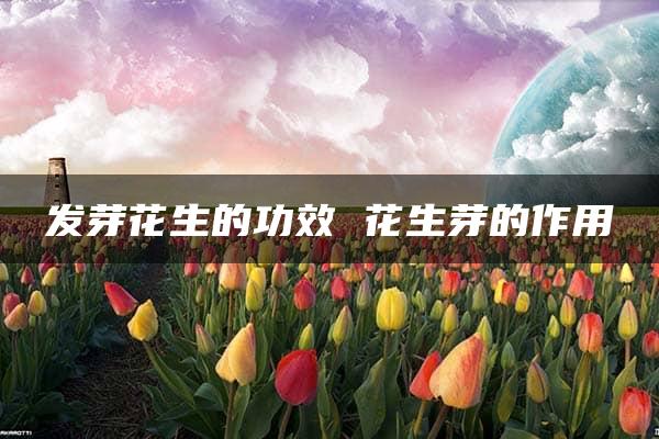 发芽花生的功效 花生芽的作用