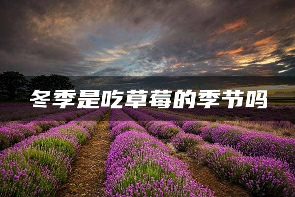 冬季是吃草莓的季节吗