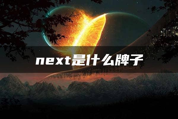 next是什么牌子