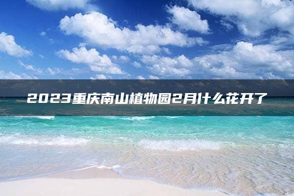 2023重庆南山植物园2月什么花开了