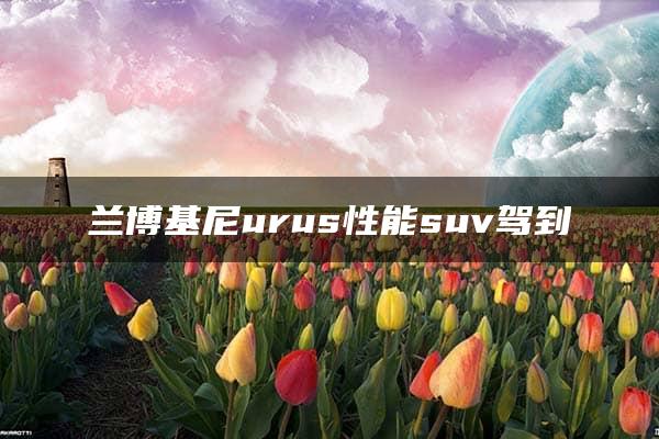 兰博基尼urus性能suv驾到