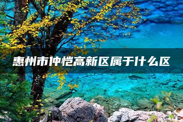 惠州市仲恺高新区属于什么区