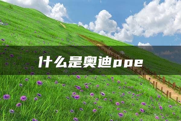 什么是奥迪ppe