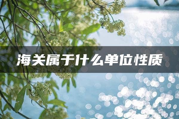 海关属于什么单位性质