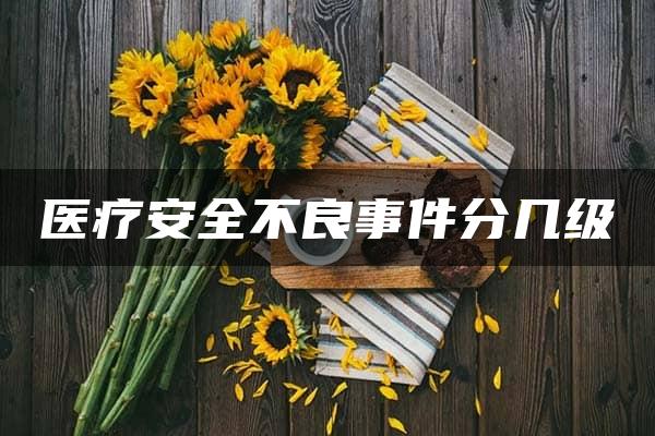 医疗安全不良事件分几级