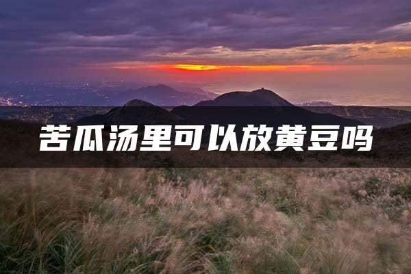 苦瓜汤里可以放黄豆吗