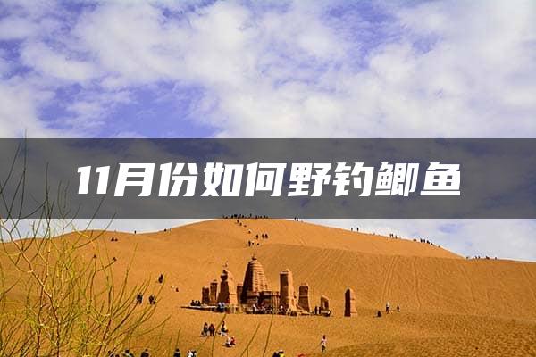 11月份如何野钓鲫鱼