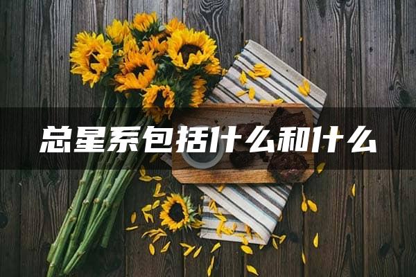 总星系包括什么和什么