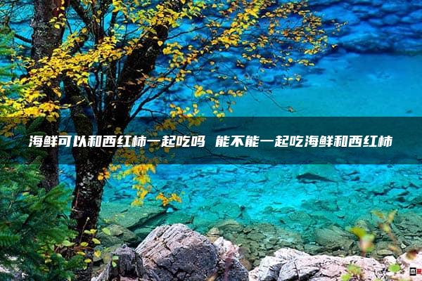 海鲜可以和西红柿一起吃吗 能不能一起吃海鲜和西红柿