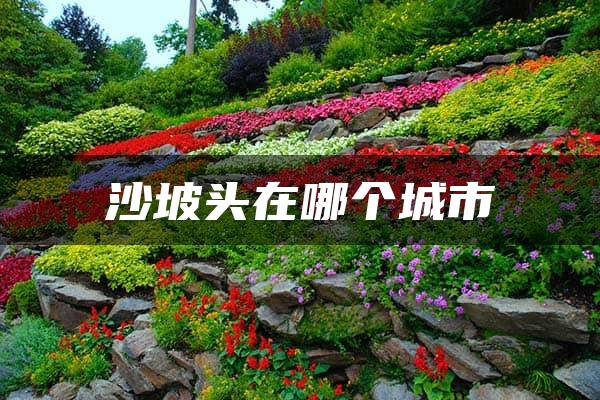 沙坡头在哪个城市