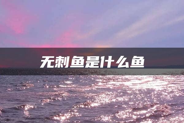 无刺鱼是什么鱼