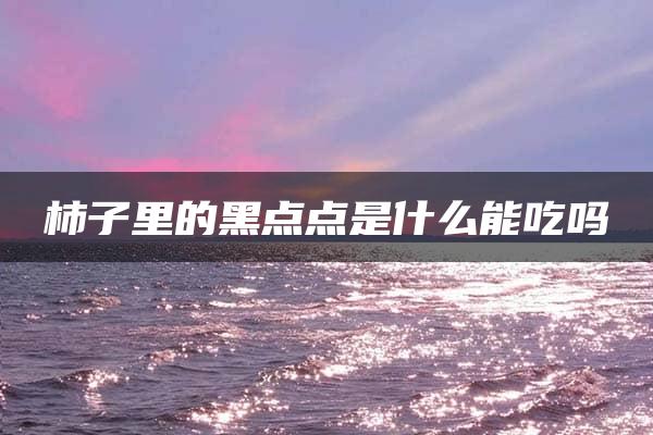 柿子里的黑点点是什么能吃吗