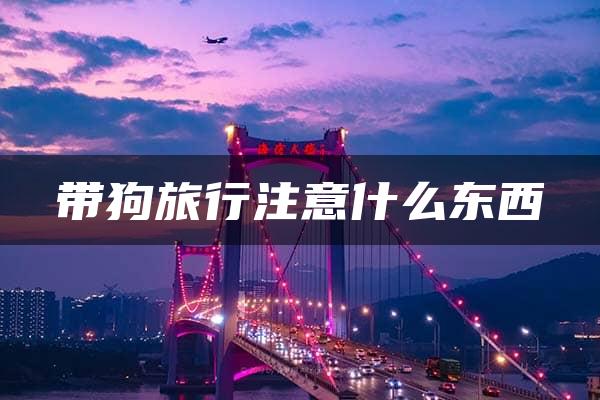 带狗旅行注意什么东西