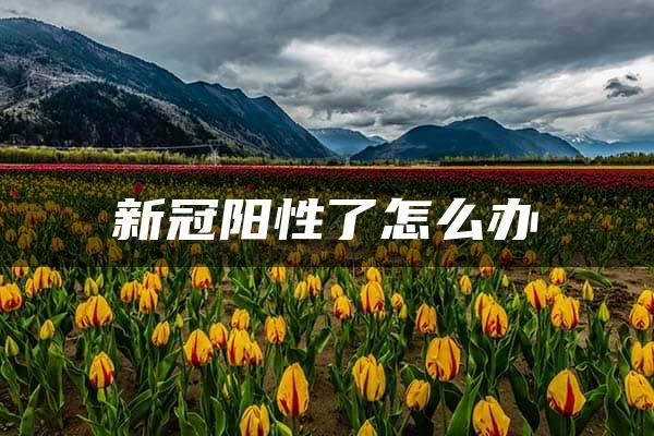 新冠阳性了怎么办