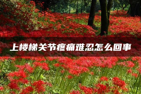 上楼梯关节疼痛难忍怎么回事