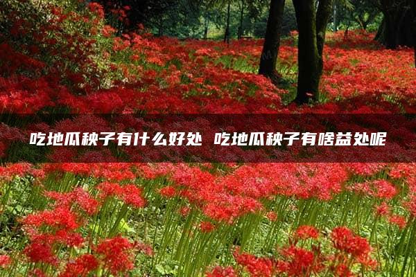 吃地瓜秧子有什么好处 吃地瓜秧子有啥益处呢