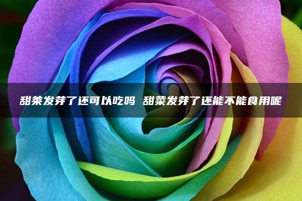 甜莱发芽了还可以吃吗 甜菜发芽了还能不能食用呢