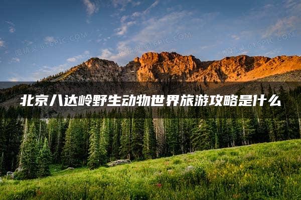 北京八达岭野生动物世界旅游攻略是什么