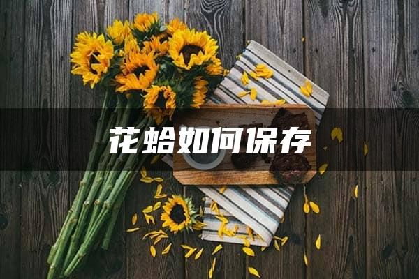 花蛤如何保存