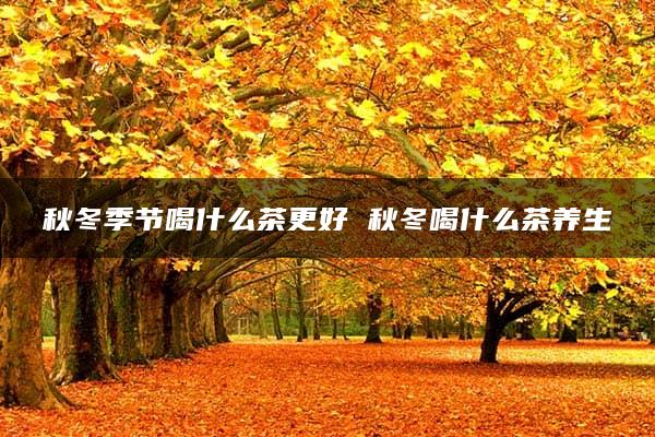 秋冬季节喝什么茶更好 秋冬喝什么茶养生