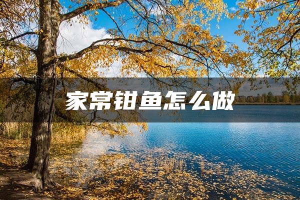 家常钳鱼怎么做