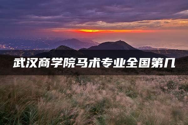 武汉商学院马术专业全国第几