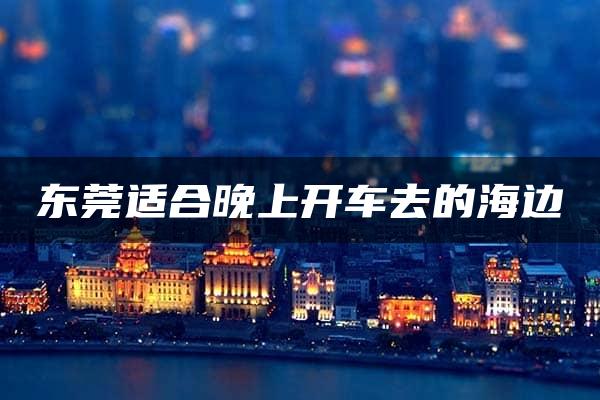 东莞适合晚上开车去的海边