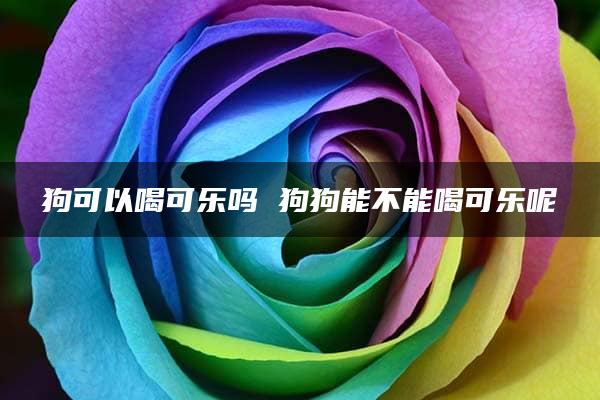 狗可以喝可乐吗 狗狗能不能喝可乐呢