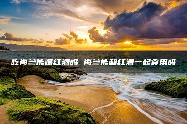 吃海参能喝红酒吗 海参能和红酒一起食用吗